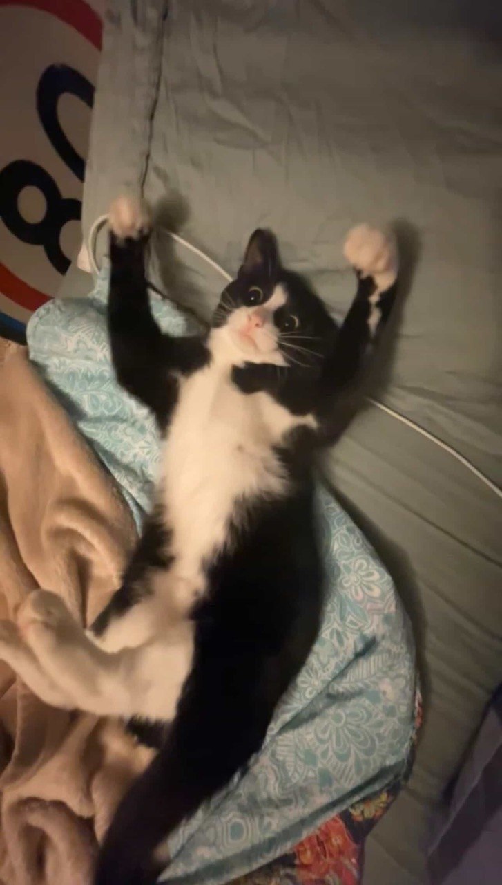 Bobby, RIP, i love you