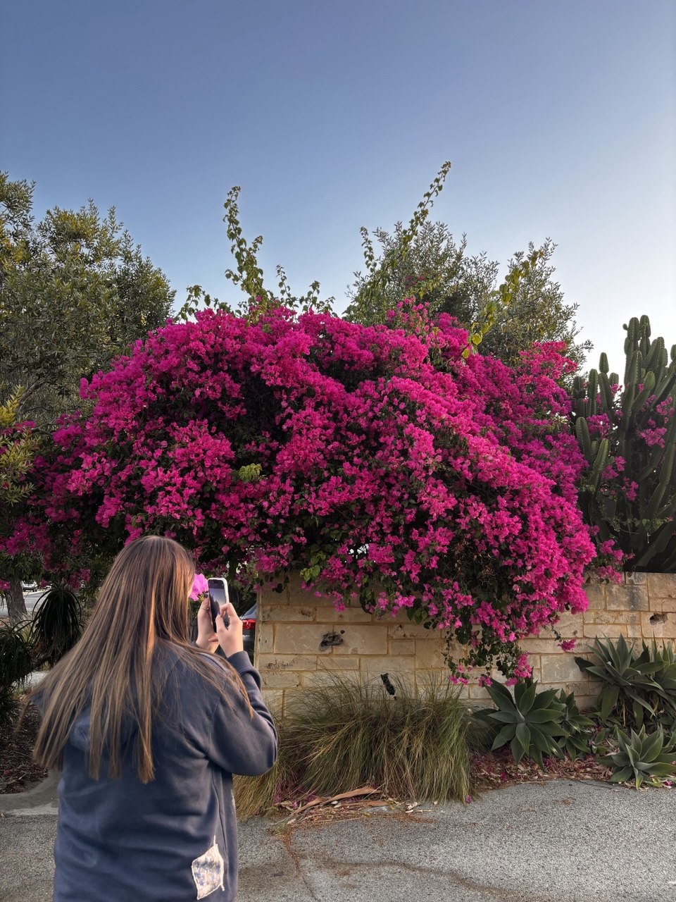 Pretty Girl + Pretty Tree